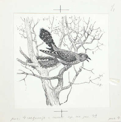 Кузнецов Леонид Трофимович. Макет из 27 иллюстраций и книга К.Д. Ушинского «Рассказы и сказки» (М.: Дет. лит., 1975)